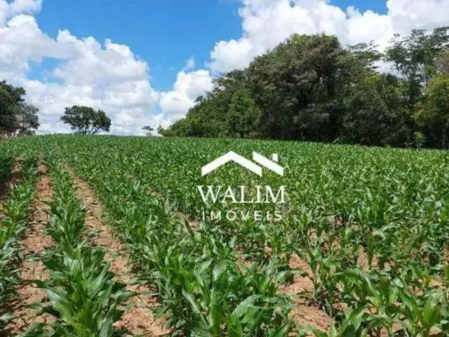 Fazenda venda em Região Geográfica Imediata de Belo Horizonte, Região Metropolitana de Belo Horizonte