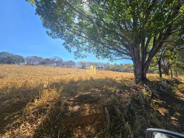Fazenda venda em Centro, Esmeraldas