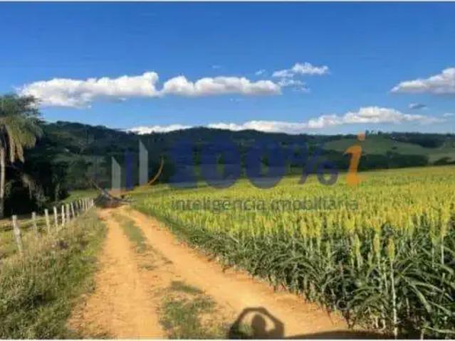 Fazenda venda em Região Imediata de São João da Boa Vista, Espírito Santo do Pinhal