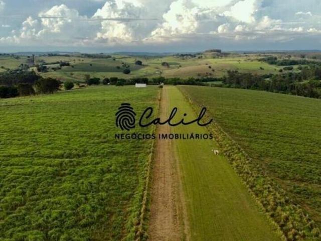 Sítio e chácara venda em Região Imediata de Marília, Marília