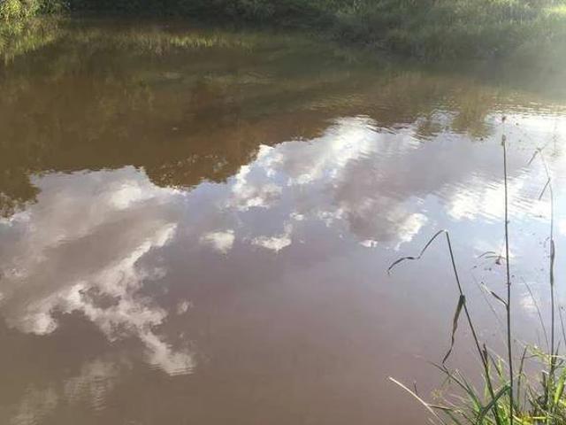 Fazenda venda em Estiva