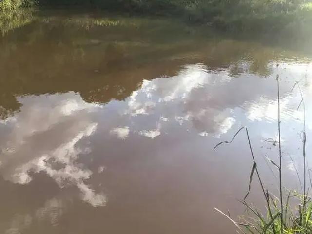 Fazenda venda em Região Geográfica Imediata de Pouso Alegre, Estiva