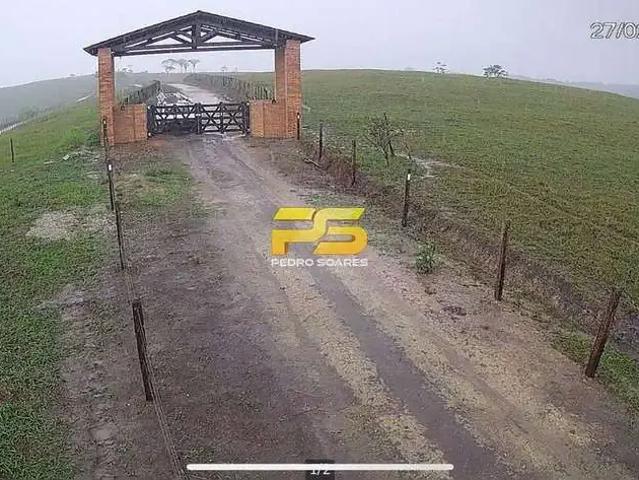 Fazenda venda em Estrela de Alagoas, Região Nordeste