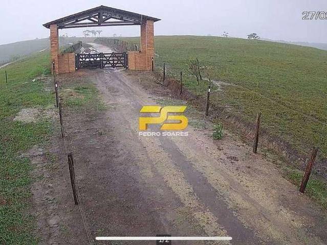 Fazenda venda em Estrela de Alagoas