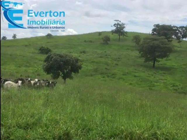 Fazenda venda em Região Geográfica Imediata de Monte Carmelo, Estrela do Sul