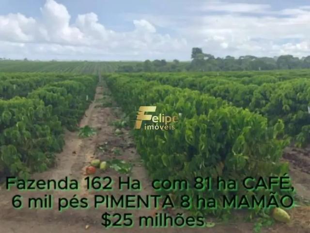 Fazenda venda em Região Geográfica Imediata de Eunápolis - Porto Seguro, Eunápolis