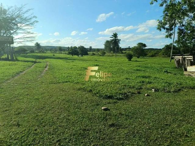 Fazenda venda em Região Geográfica Imediata de Eunápolis - Porto Seguro, Eunápolis