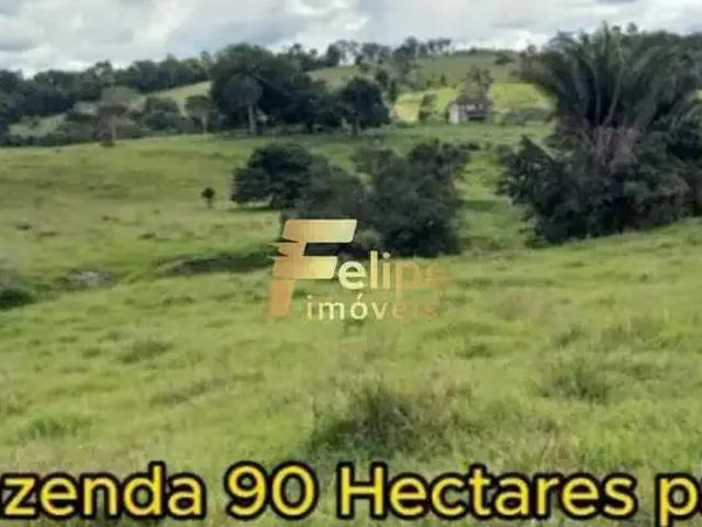 Fazenda venda em Região Geográfica Imediata de Eunápolis - Porto Seguro, Eunápolis