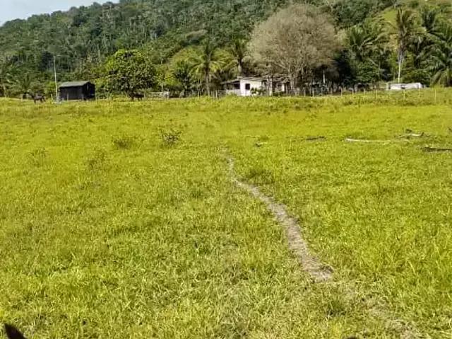 Fazenda venda em Região Geográfica Imediata de Eunápolis - Porto Seguro, Eunápolis