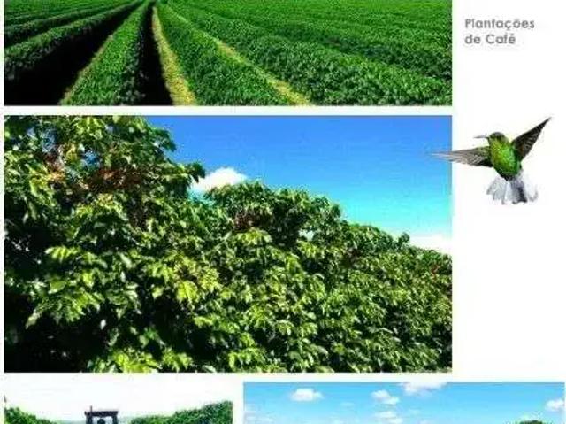 Fazenda venda em Região Geográfica Imediata de Pouso Alegre, Extrema