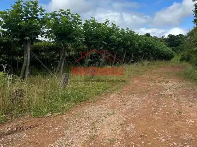 Fazenda venda em Fagundes Varela, Região Geográfica Intermediária de Caxias do Sul