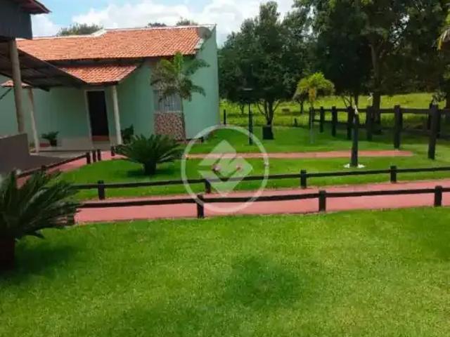 Fazenda venda em Região Geográfica Imediata de Goiás - Itapuranga, Faina