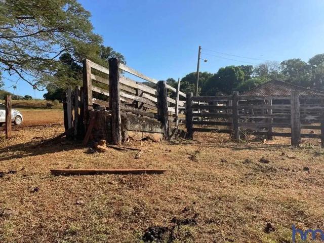 Fazenda venda em Região Geográfica Imediata de Goiás - Itapuranga, Faina