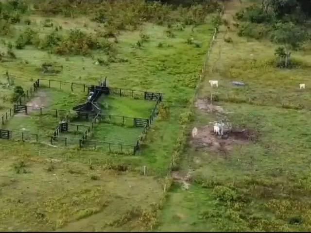 Fazenda venda em Região Geográfica Imediata de Goiás - Itapuranga, Faina