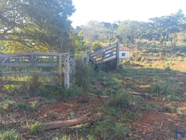 Fazenda venda em Região Geográfica Imediata de Goiás - Itapuranga, Faina
