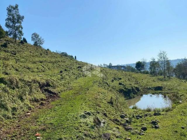 Fazenda venda em Região Geográfica Imediata de Caxias do Sul, Farroupilha