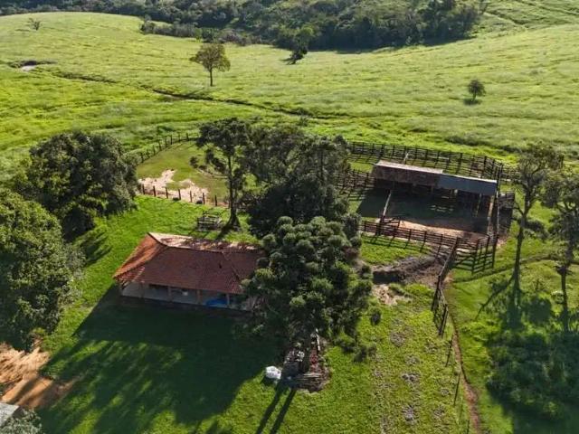 Fazenda venda em Região Imediata de Piraju, Fartura