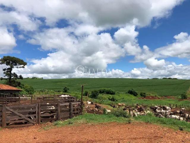 Fazenda venda em Região Geográfica Imediata de Ivaiporã, Faxinal