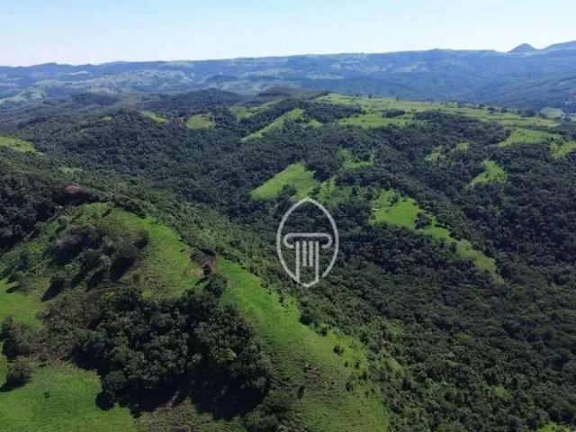 Fazenda venda em Região Geográfica Imediata de Ivaiporã, Faxinal