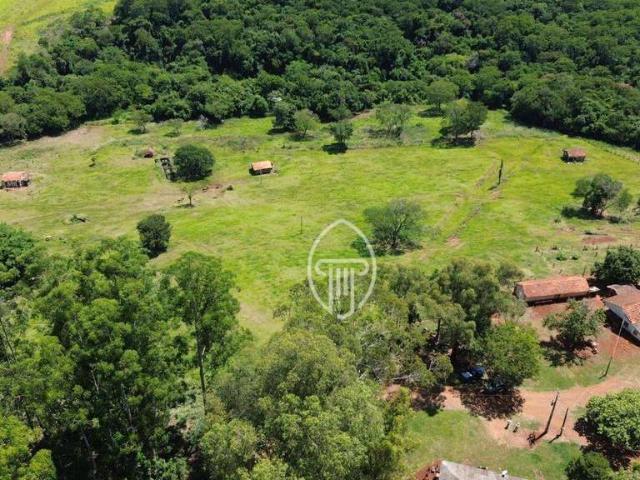 Fazenda venda em Faxinal, Região Geográfica Intermediária de Londrina