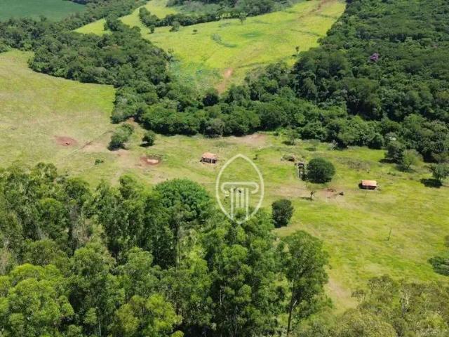 Fazenda venda em Região Geográfica Imediata de Ivaiporã, Faxinal