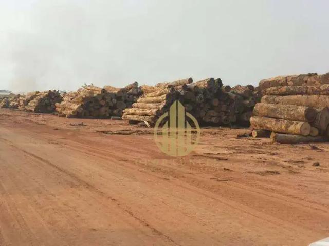Fazenda venda em Feijó, Região Norte
