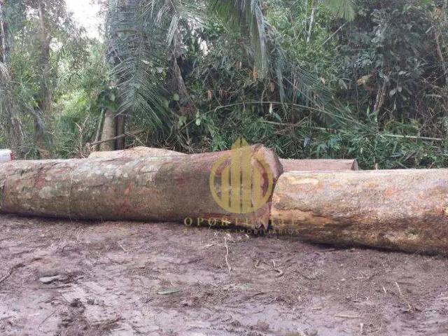 Fazenda venda em Feijó, Região Norte
