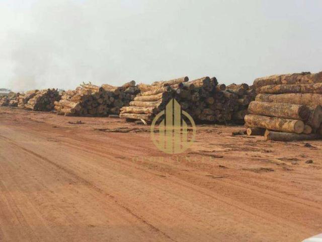 Fazenda venda em Feijó, Região Norte