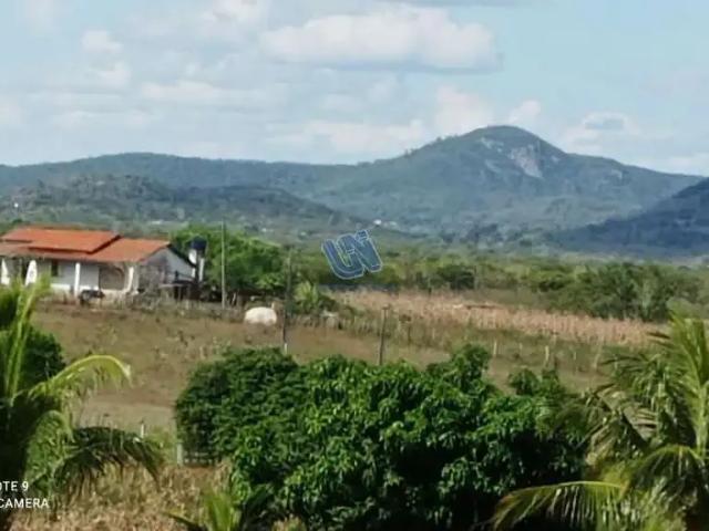 Fazenda venda em Região Geográfica Imediata de Feira de Santana, Região Metropolitana de Feira de Santana