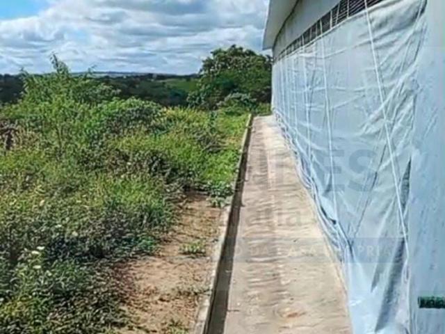 Fazenda venda em Feira de Santana, Região Geográfica Intermediária de Feira de Santana