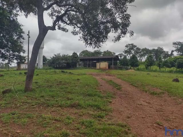 Fazenda venda em Feira Nova do Maranhão, Região Nordeste