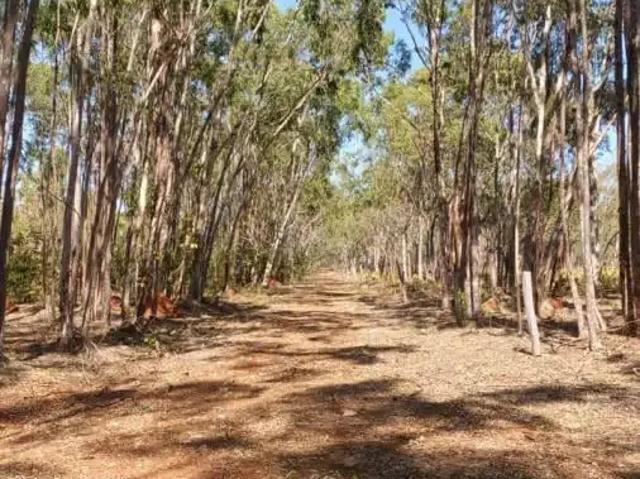 Fazenda venda em Felixlândia, Região Geográfica Intermediária de Belo Horizonte