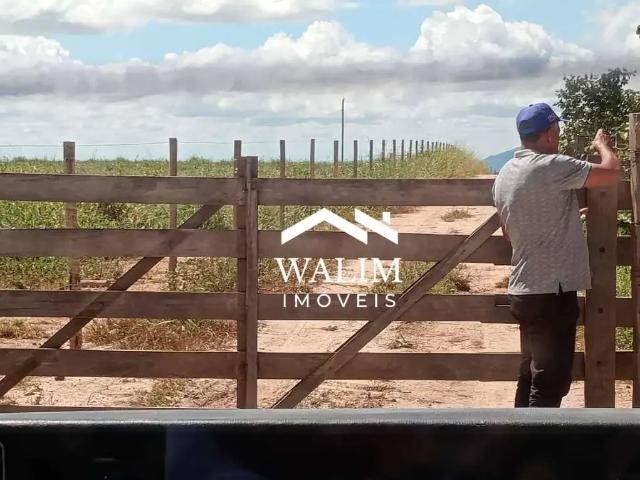 Fazenda venda em Região Geográfica Imediata de Curvelo, Felixlândia