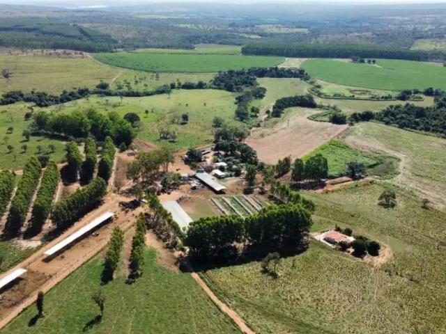 Fazenda venda em Região Geográfica Imediata de Curvelo, Felixlândia