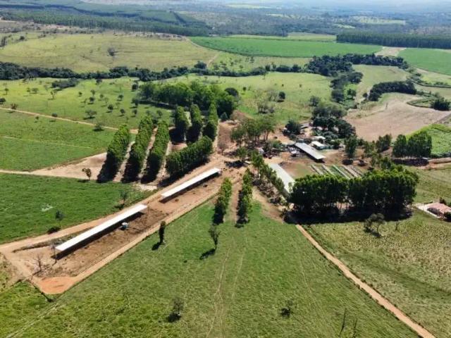 Fazenda venda em Região Geográfica Imediata de Curvelo, Felixlândia