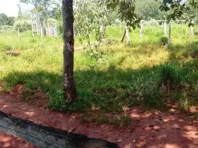 Fazenda venda em Felixlândia, Região Geográfica Intermediária de Belo Horizonte