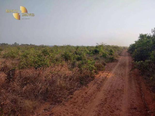 Fazenda venda em Região Geográfica Imediata de Sinop, Feliz Natal