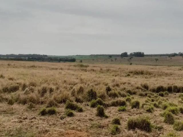 Fazenda venda em Região Imediata de Fernandópolis, Fernandópolis