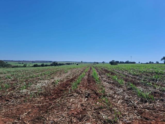 Fazenda venda em Fernandópolis