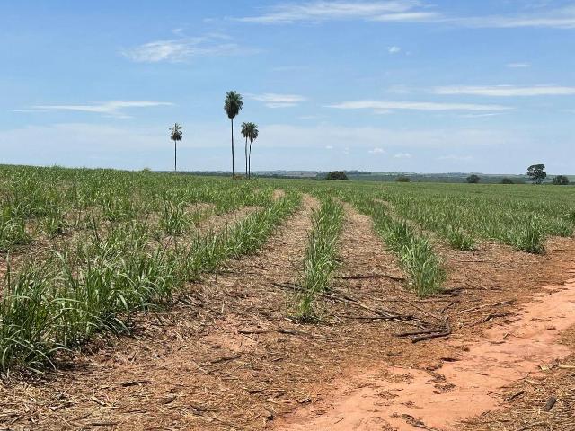 Fazenda venda em Fernandópolis