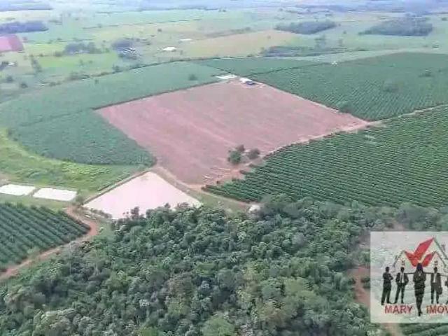 Fazenda venda em Região Imediata de Catanduva, Jataúba