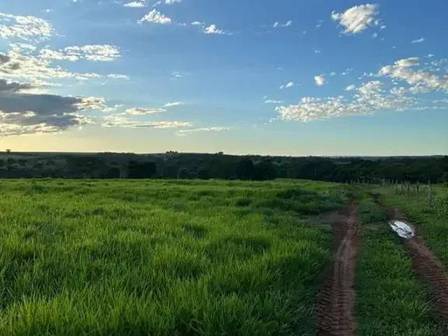 Fazenda venda em Região Imediata de Fernandópolis, Fernandópolis