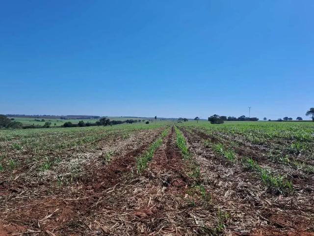 Fazenda venda em Região Imediata de Fernandópolis, Fernandópolis