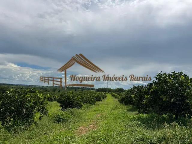 Fazenda venda em Região Imediata de Fernandópolis, Fernandópolis