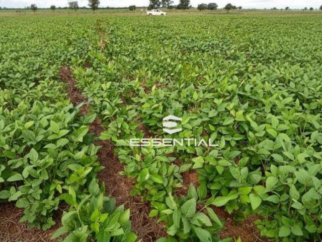 Sítio e chácara venda em Região Geográfica Imediata de Coxim, Mato Grosso do Sul