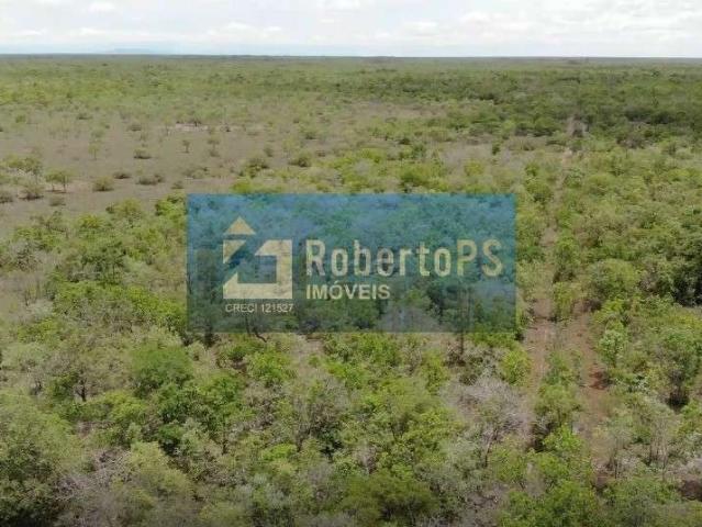 Fazenda venda em Região Geográfica Imediata de Flores de Goiás, Flores de Goiás