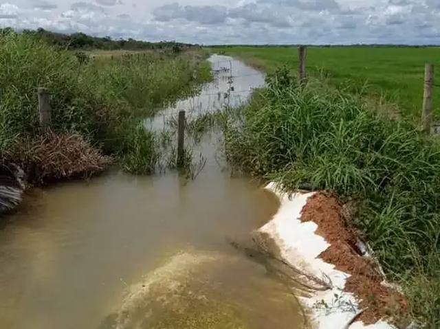 Fazenda venda em Região Geográfica Imediata de Flores de Goiás, Flores de Goiás