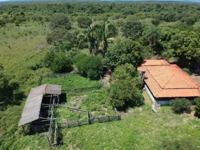 Fazenda venda em Região Geográfica Imediata de Flores de Goiás, Flores de Goiás