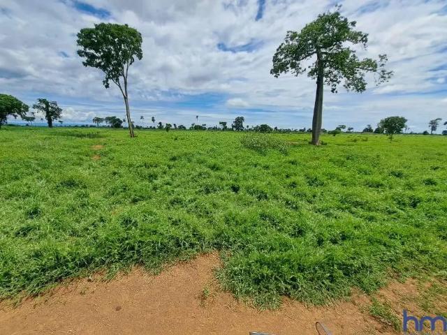 Fazenda venda em Região Geográfica Imediata de Flores de Goiás, Flores de Goiás