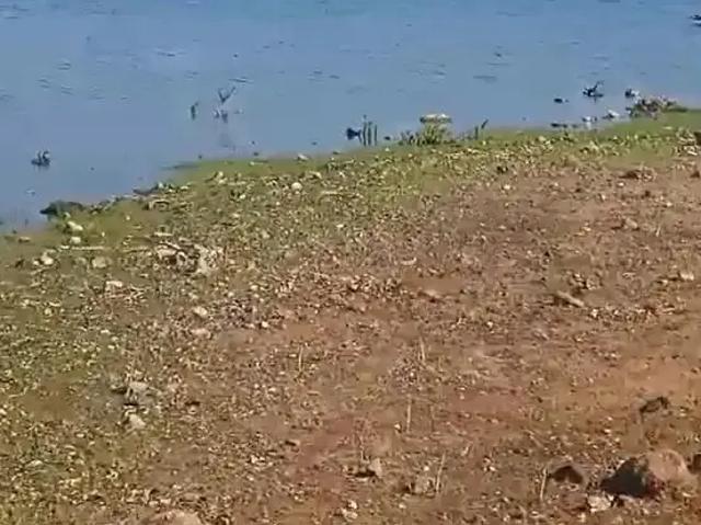 Fazenda venda em Região Geográfica Imediata de Serra Talhada, Floresta